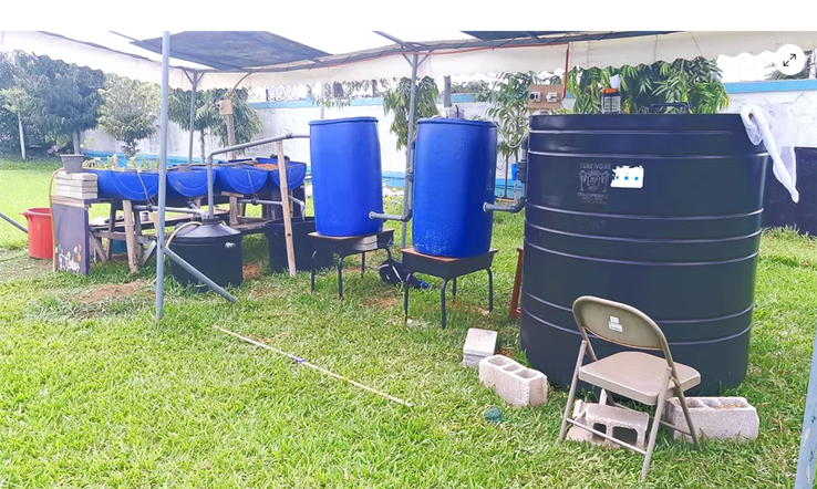 Aquaponics